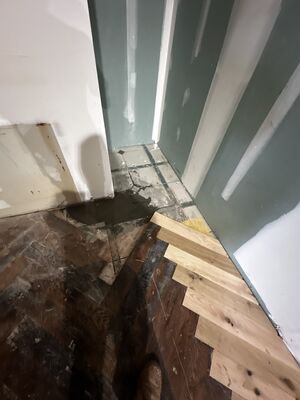 Hardwood floor project